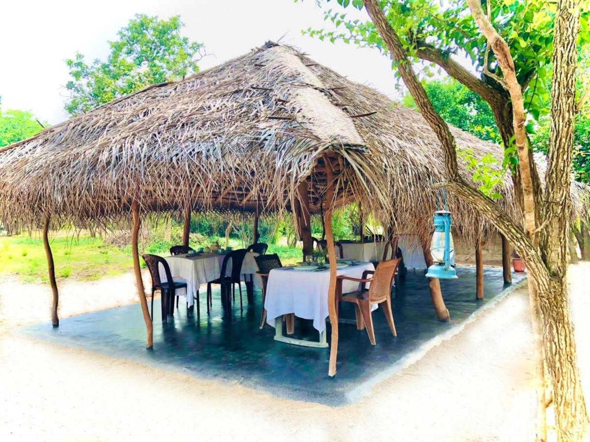 Eden Yala Exterior photo