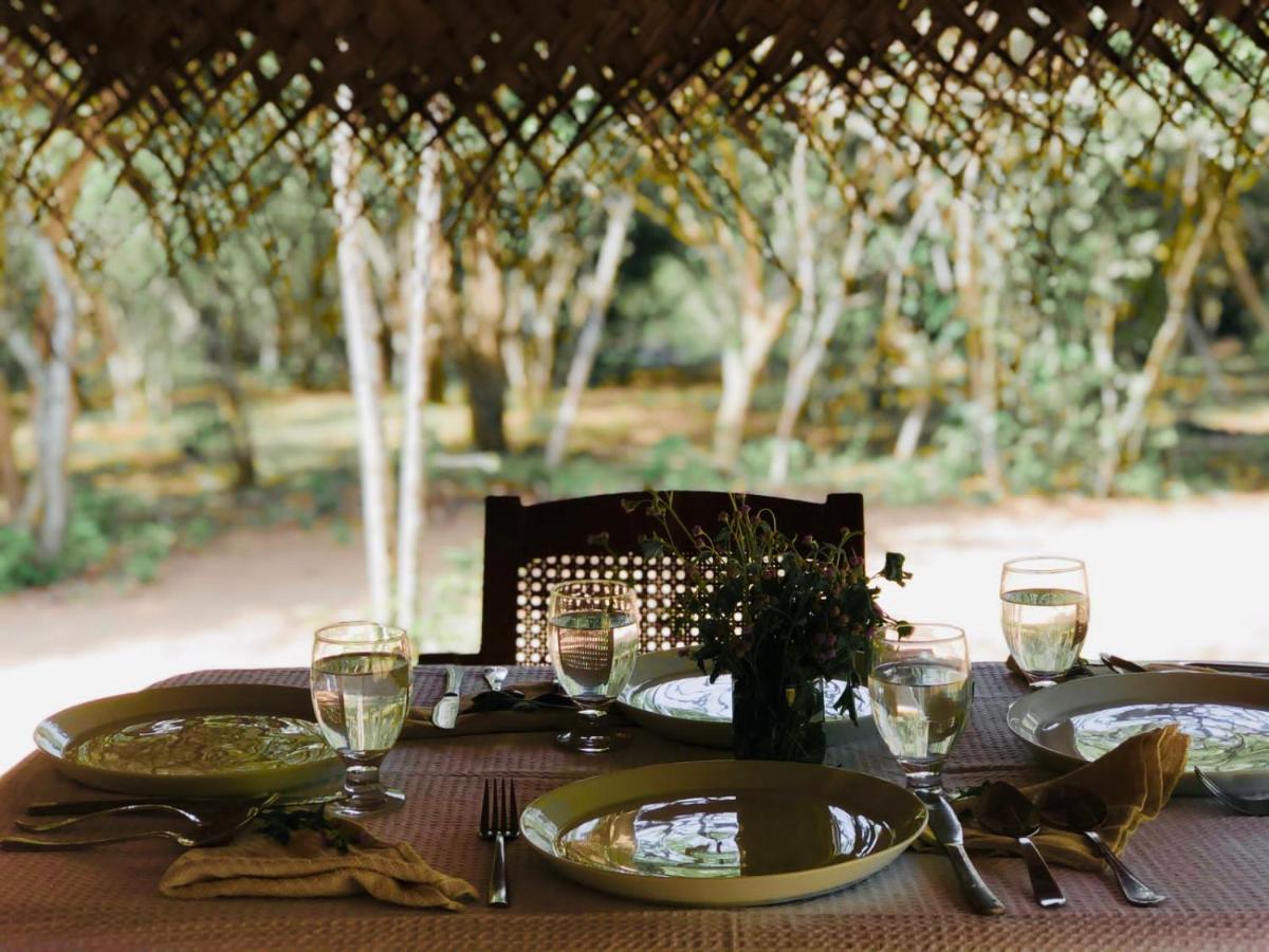 Eden Yala Exterior photo