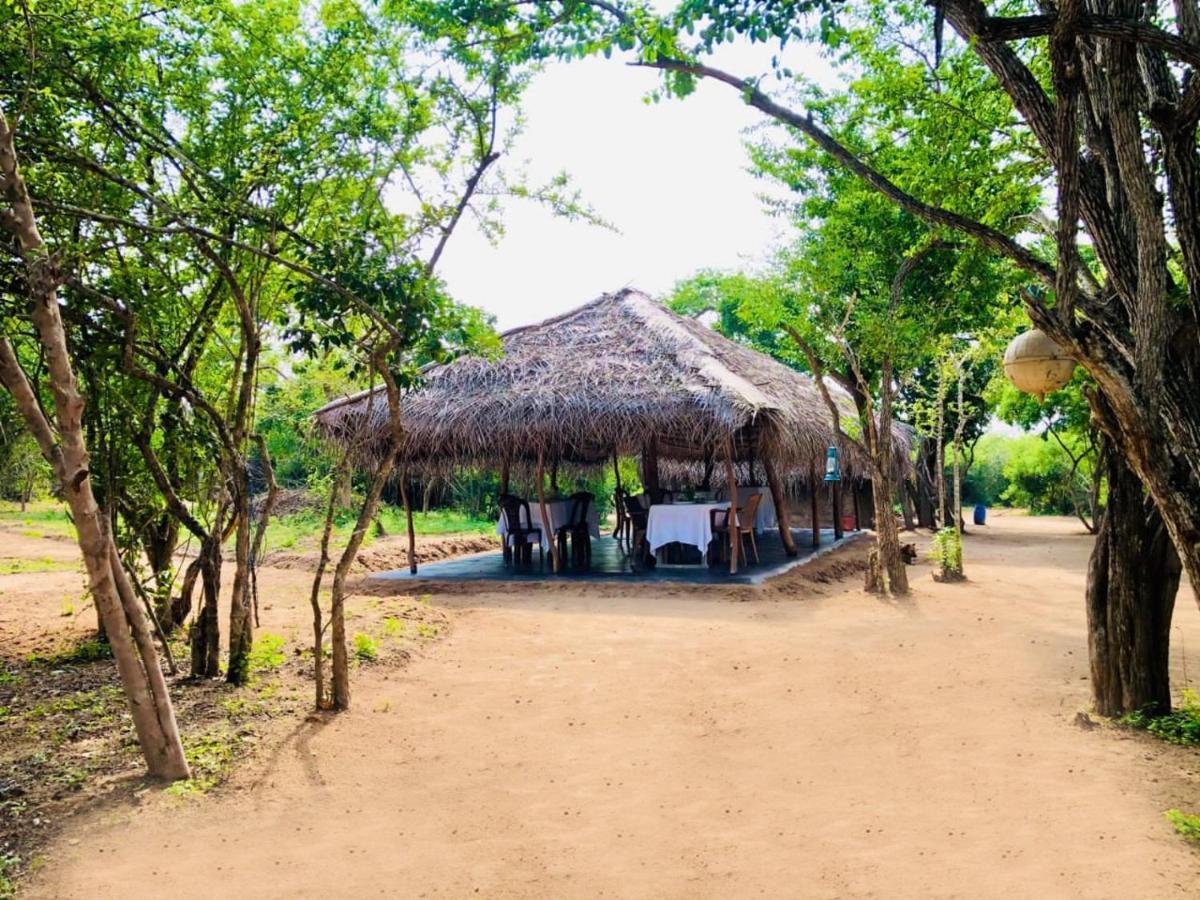 Eden Yala Exterior photo