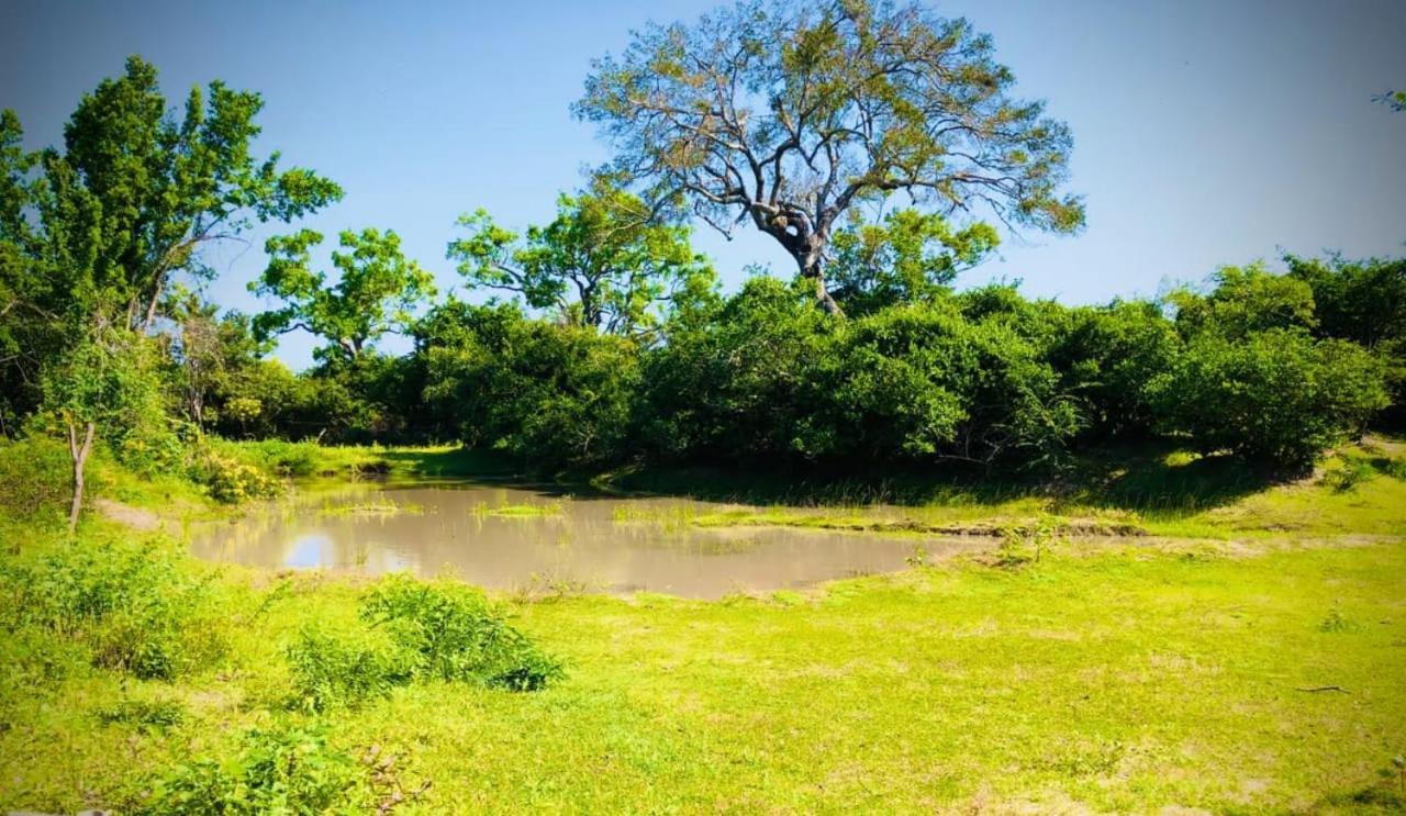 Eden Yala Exterior photo