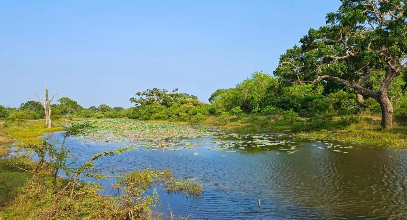 Eden Yala Exterior photo