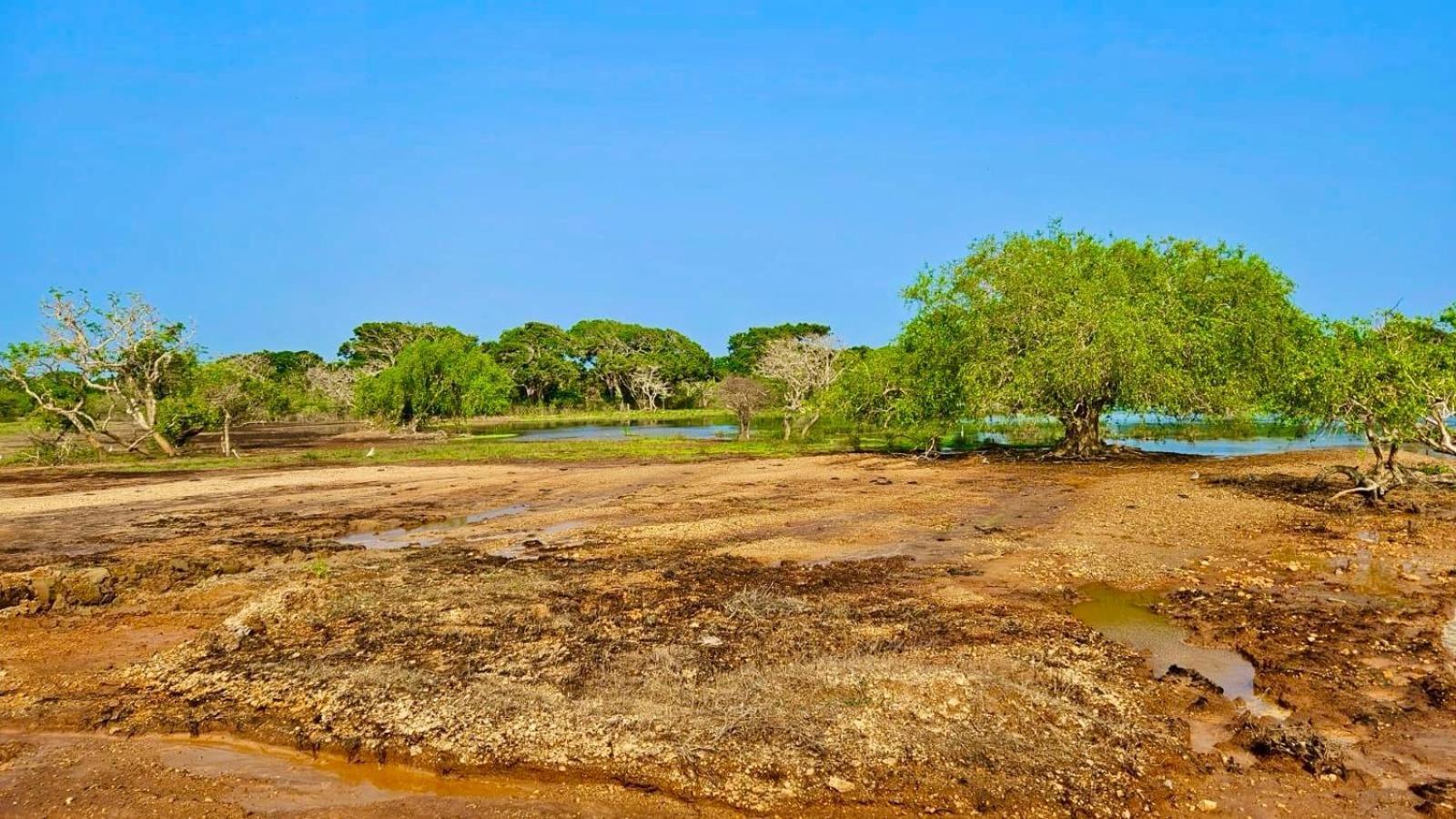 Eden Yala Exterior photo