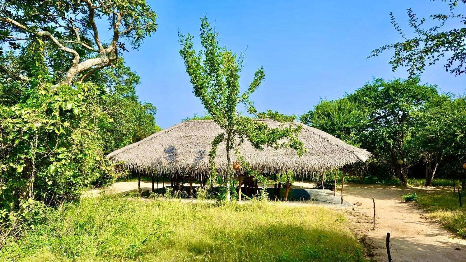 Eden Yala Exterior photo