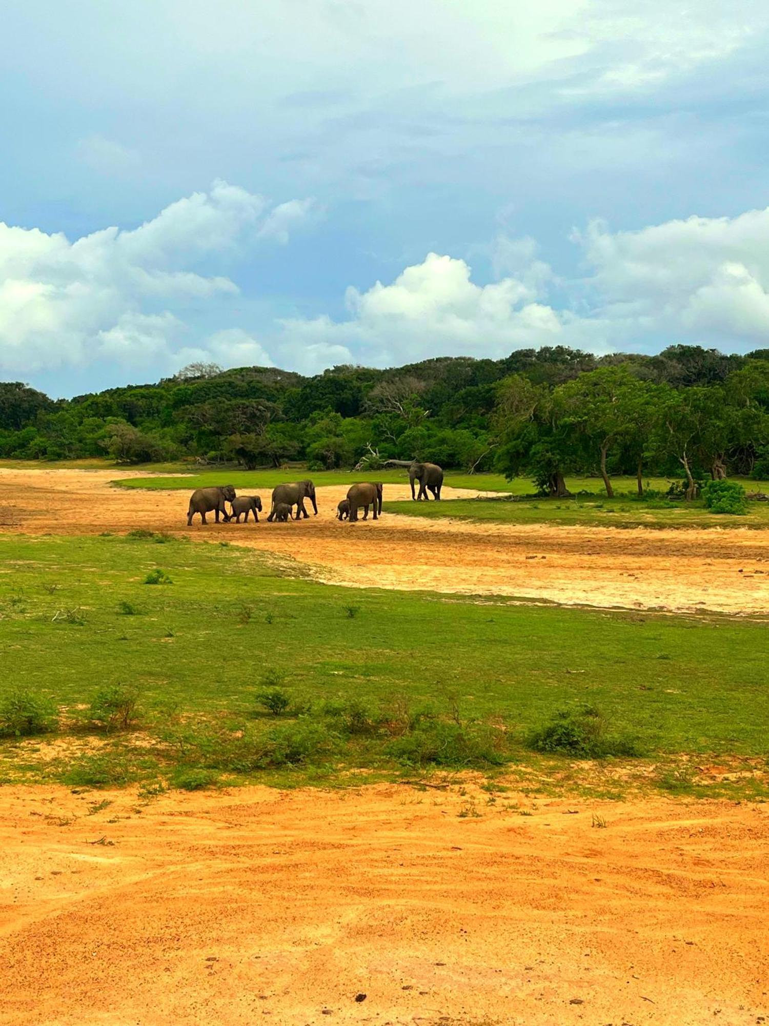 Eden Yala Exterior photo